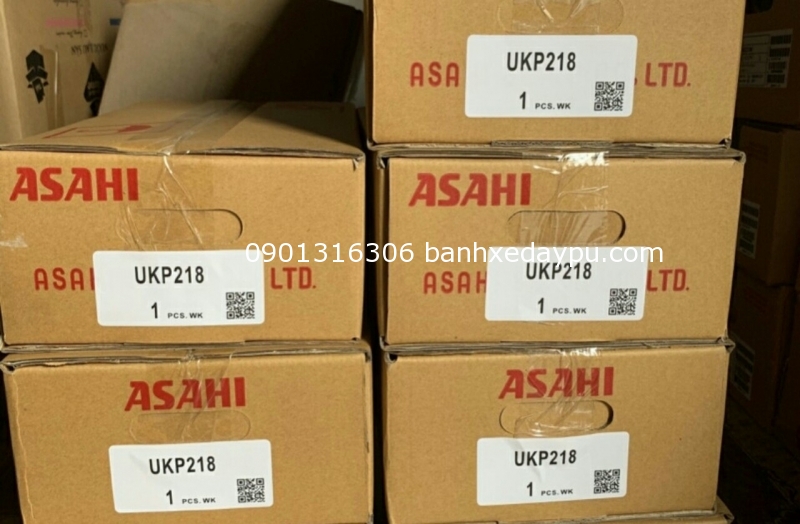 Bạc đạn ASAHI UKP218 Bạc đạn ASAHI UKP218